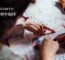 wordpress sitemaps